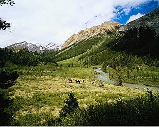 用48个小时将创意变成游戏！游戏极限开发活动2023 CiGA Game Jam报名开始！