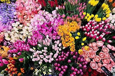 《电工模拟器：第一次震撼》1月7日登陆Steam 有免费试玩章节