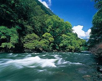 2022年Steam共上线12939款游戏 再创新高！